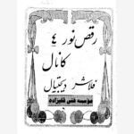 فیبر و دفترچه کیت رقص نور ۴ کاناله فلاشر دیجیتال قلیزاده